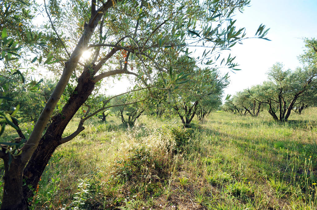 Vila Hameau Montplaisir Béziers Exteriér fotografie