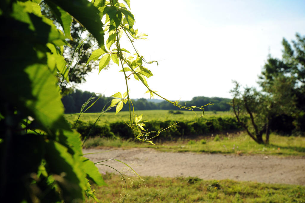 Vila Hameau Montplaisir Béziers Pokoj fotografie